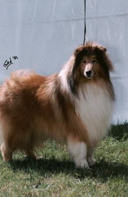 Larsen of Colomber Field 1