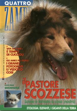 QuattroZampeAprile2000