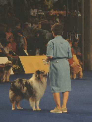 {short description of image}