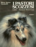 LibroMursiaMTGarabelli
