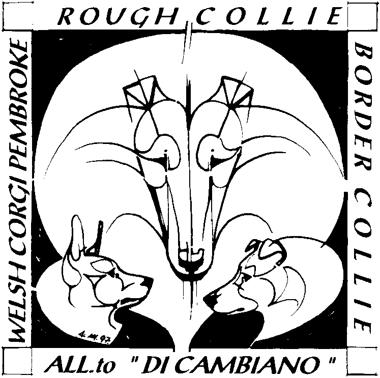 Registred ® logo of Cambiano