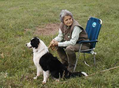 {short description of image}