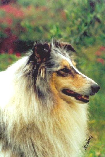 {short description of image}