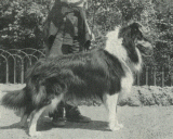 Duchessa nera di Cambiano