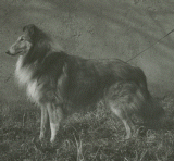 Michelangelo Fulvo di Cambiano