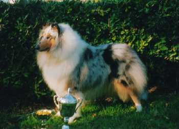 HoVolatoNelBluDiCambiano