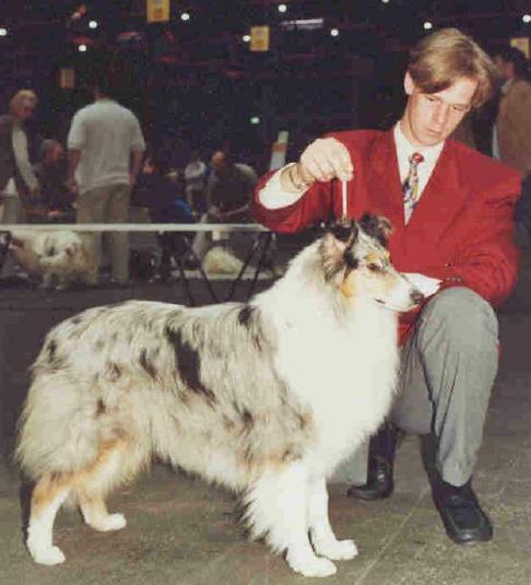 QuintaDaInkaDiCambiano