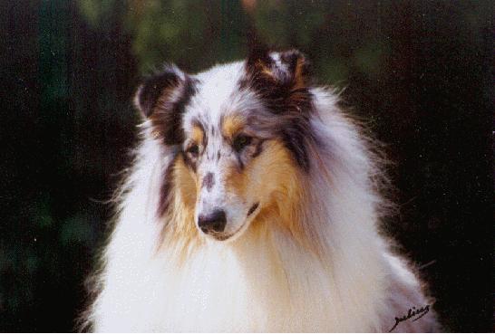 {short description of image}